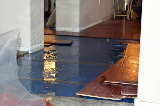 Professional Water Damage Restoration technician working in Bristolville, OH